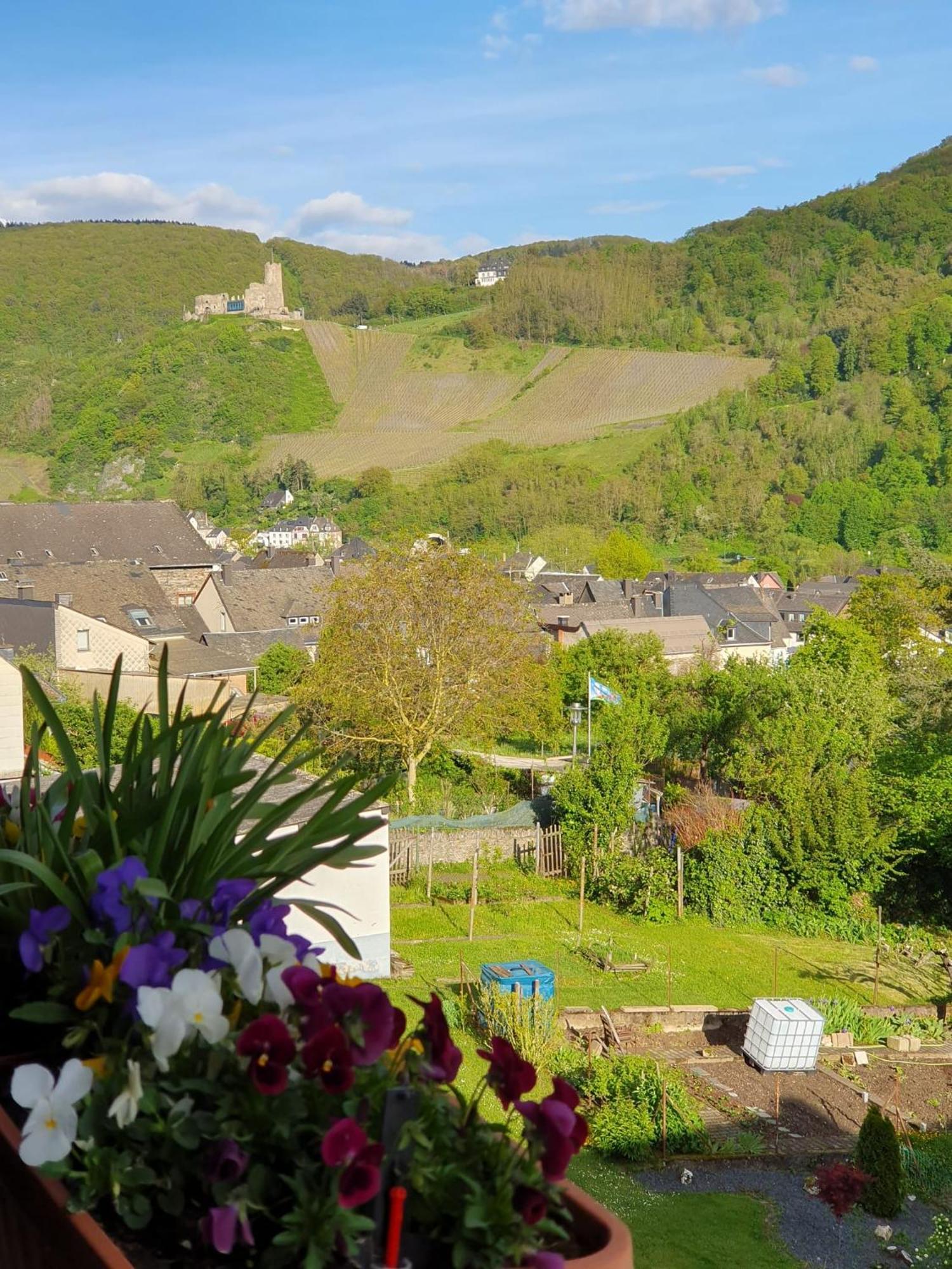 Ferienwohnung Bauer Bernkastel-Kues Exteriör bild